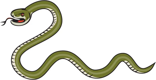 Kígyó tekercselés oldalán elszigetelt rajzfilm — Stock Vector