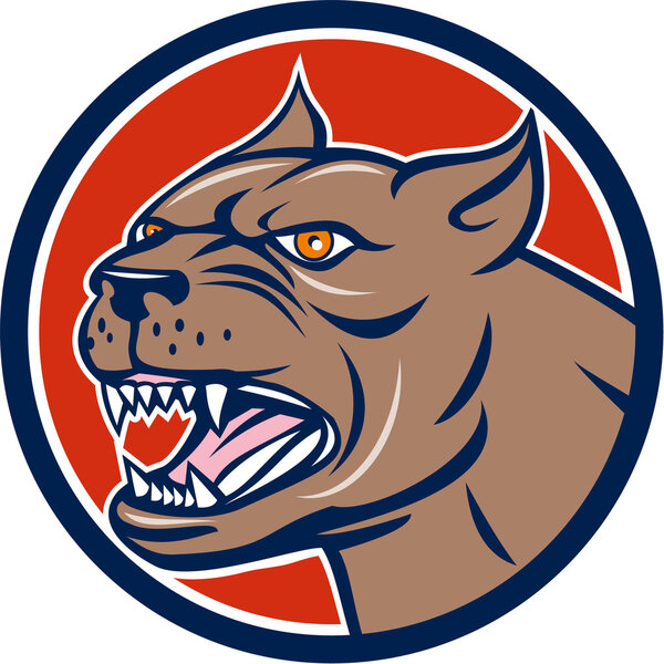 Питбуль Дог Монгрел Хед
