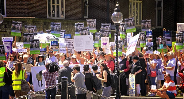 Protesta para detener las exportaciones de animales vivos — Foto de Stock