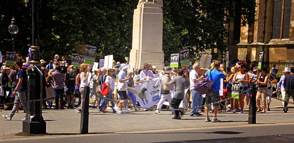Stop Live Animal Exports Protest — Stock Photo, Image