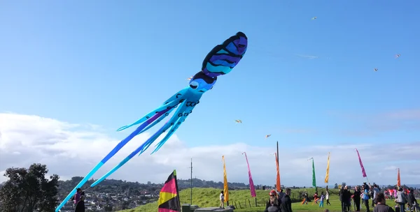 Auckland Kite Day