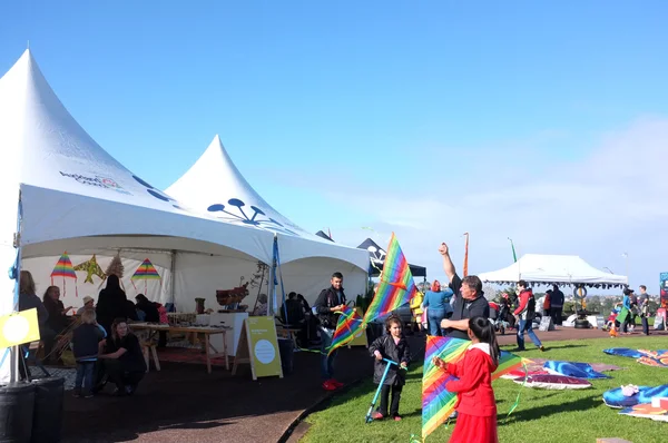 Puketapapa Manu Aute Kite Day — Stock Photo, Image