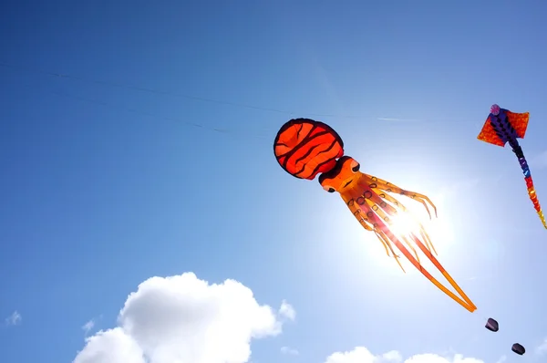 Octopus Kite — Stock Photo, Image