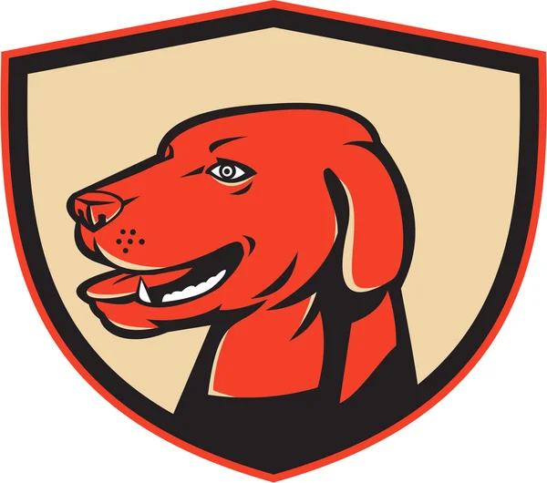 Labrador Golden Retriever Escudo de cabeza de perro Retro — Vector de stock