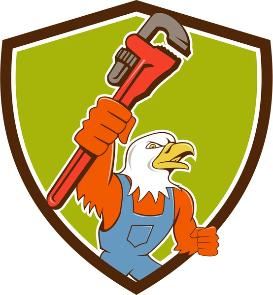 Bald Eagle Encanador Chave de macaco Crest Cartoon — Vetor de Stock