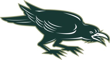 Kızgın karga izole Retro yan