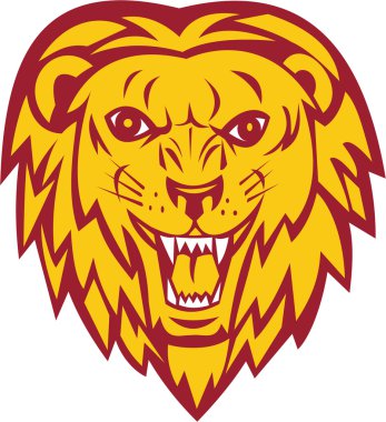 Angry Lion Big Cat Head Roar