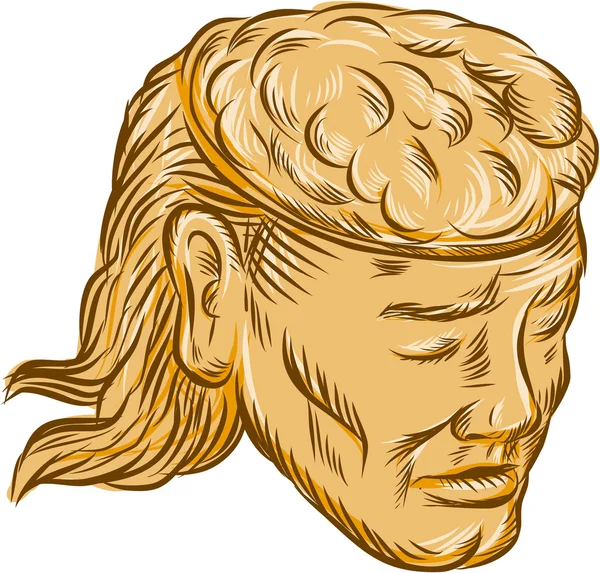 Hombre cabeza abierta cerebro aguafuerte — Vector de stock