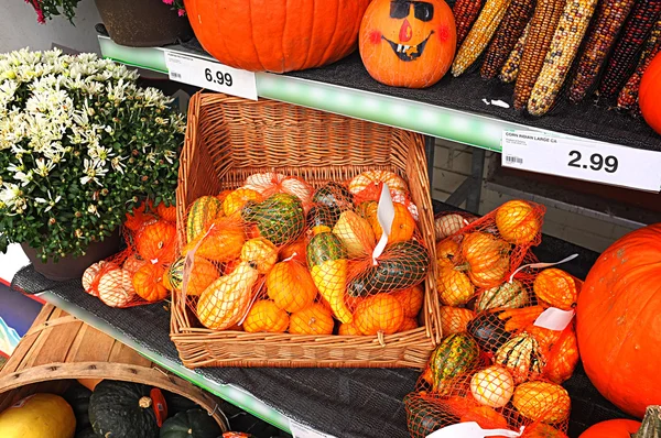 Groene kruidenier kraam pompoen oogst — Stockfoto