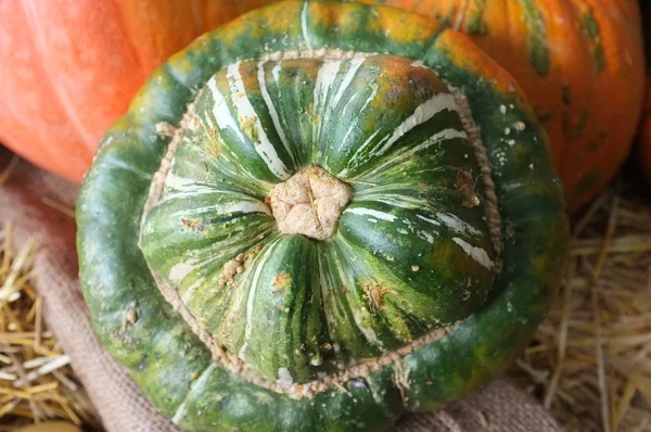 Corn majs pumpa skörden grönt Grocer Stall — Stockfoto