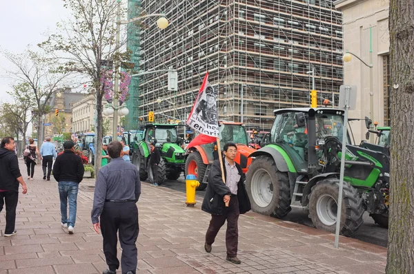 Canadian Dairy Farmers Protest — стокове фото
