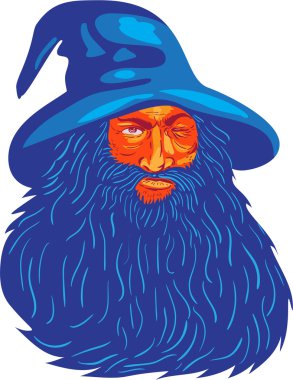 İskandinav Tanrı Odin sakal Wpa