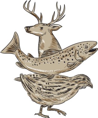 Deer Trout Quail Drawing