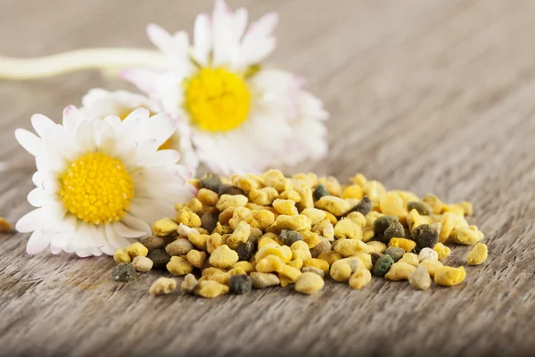 Pollen und Gänseblümchen — Stockfoto