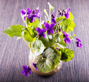 bir vazo içinde menekşeler