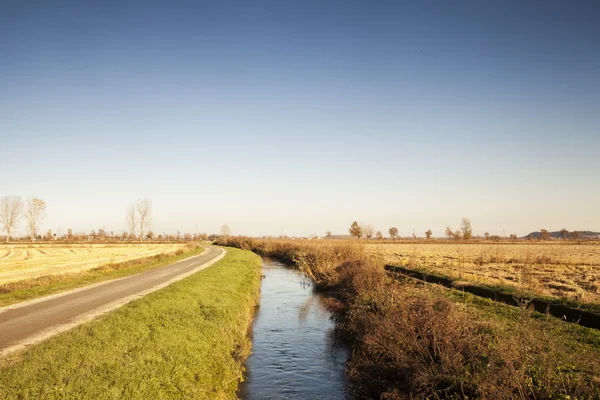 Paisaje pequeño río —  Fotos de Stock