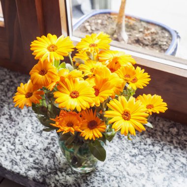 Bir vazoda sarı gerbera