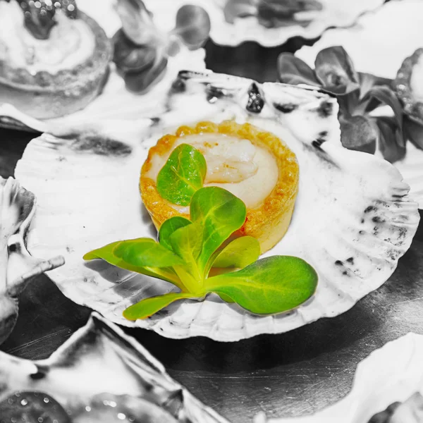 Appetizer over scallop valve — Stock Photo, Image