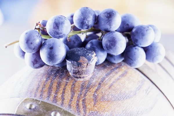 Grape over barrel — Stock Photo, Image