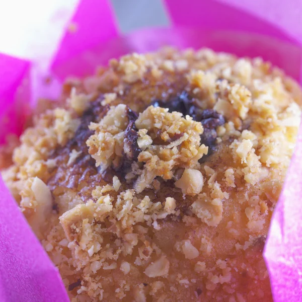 Chocolate muffin — Stock Photo, Image