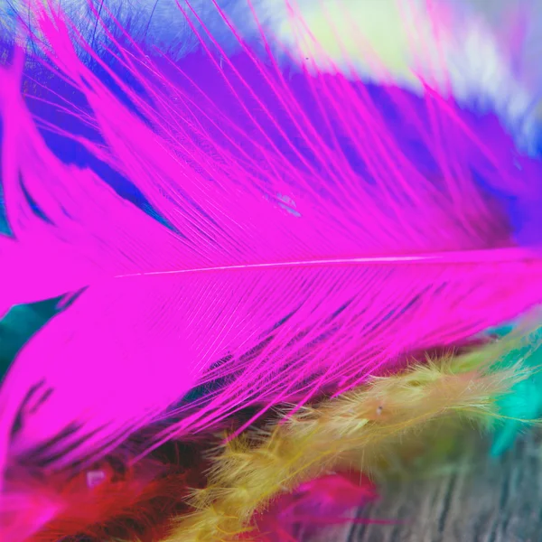 Feathers — Stock Photo, Image