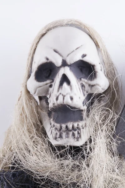 Skull — Stock Photo, Image