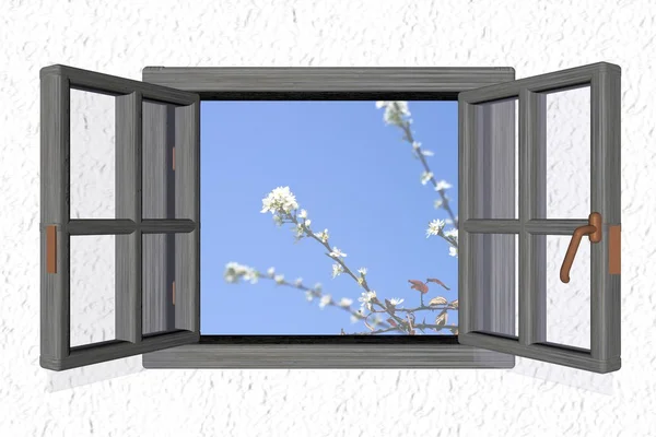 Window — Stock Photo, Image