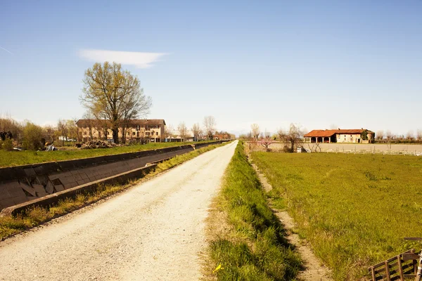 Road in the fields — Stock Photo, Image