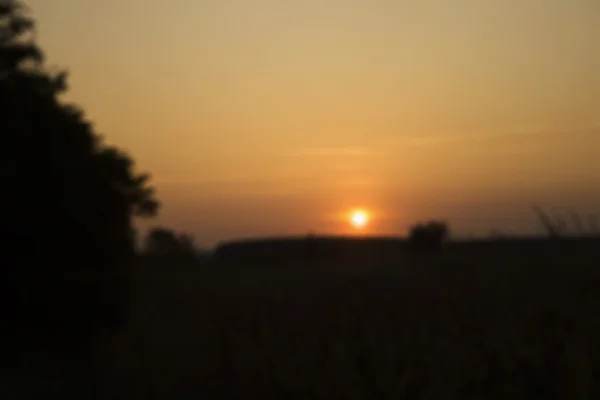 Solnedgång, suddig bakgrund — Stockfoto