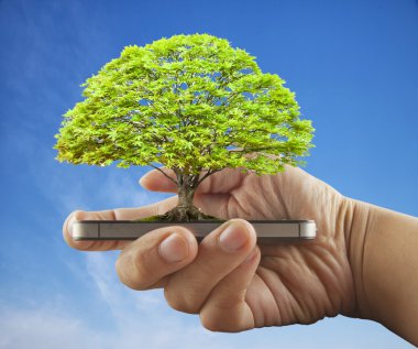 Ağaç smartphone üzerinde