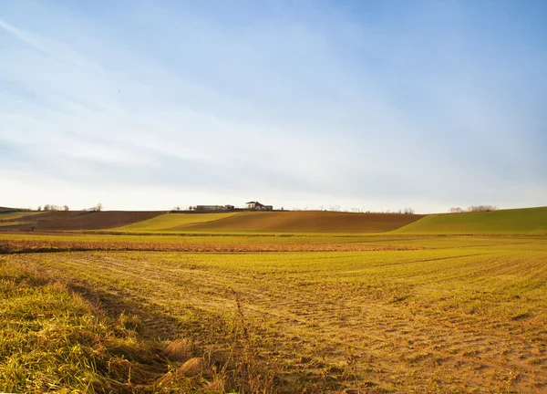 Fields — Stock Photo, Image