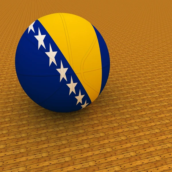 Bosna Hersek basketbol — Stok fotoğraf