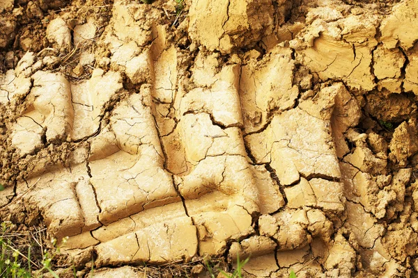 Tractor track — Stock Photo, Image