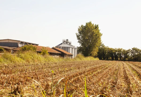 Silolar — Stok fotoğraf