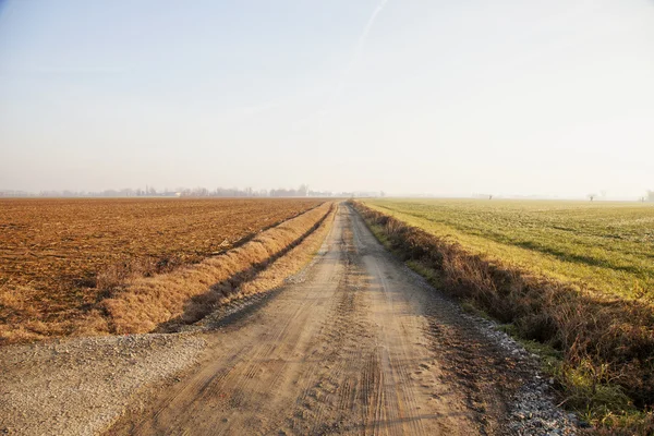 Road in the fields — Stock Photo, Image