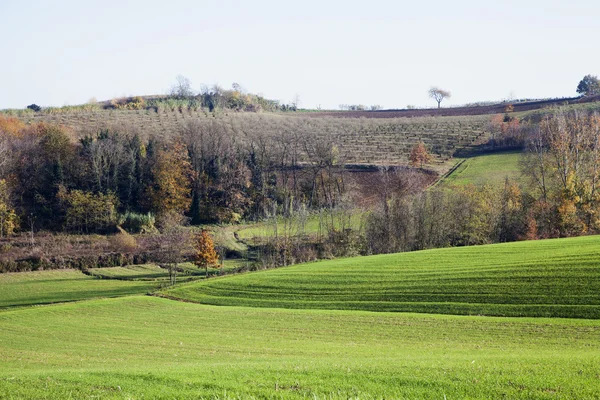 Landscape of hills — Stock Photo, Image