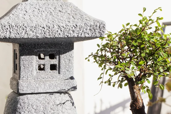 Templo e bonsai — Fotografia de Stock