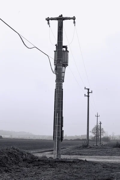 Postes eléctricos, blanco y negro — Foto de Stock