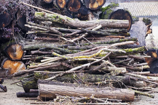 Holz in Stapeln gehackt — Stockfoto