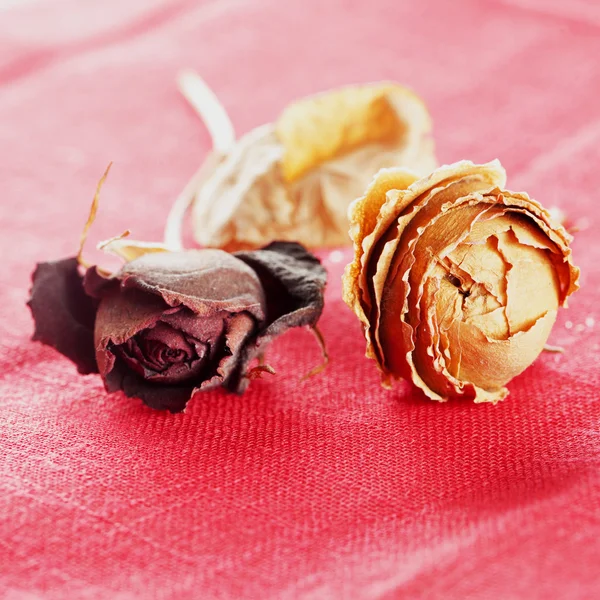 Dried roses over red tissue — Stock Photo, Image