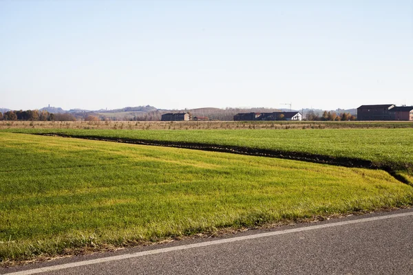 Country landscape with road — Stock Photo, Image