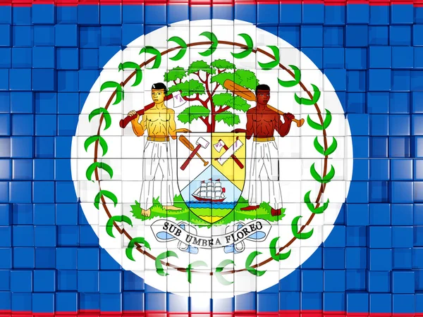 Fond avec des parties carrées. Drapeau du Belize. Illustration 3D — Photo