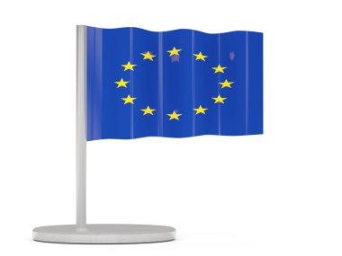 Avrupa Birliği bayrağı ile pin