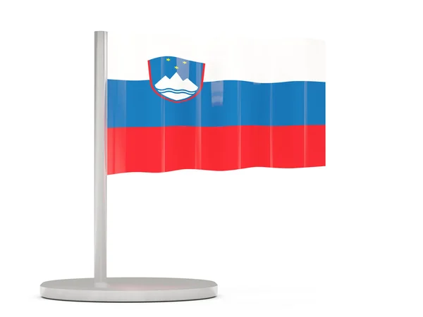 Pin with flag of slovenia — Stock Photo, Image