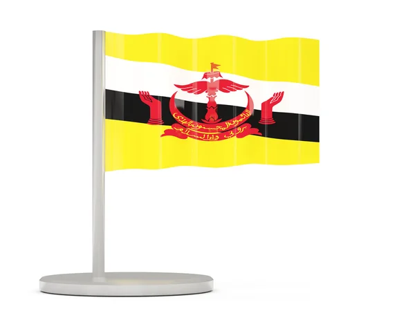 Broche avec drapeau de brunei — Photo