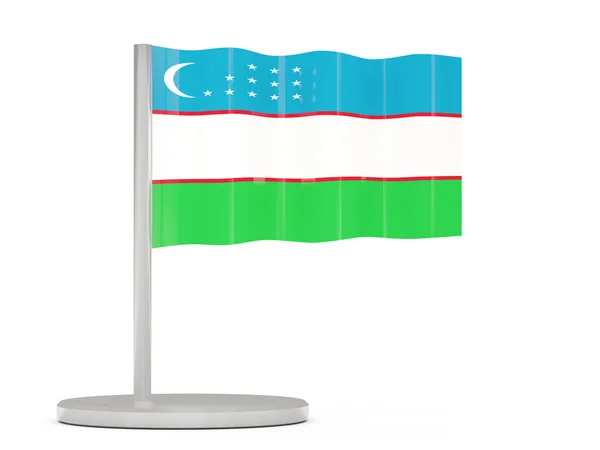 Pin with flag of uzbekistan — Stock Photo, Image