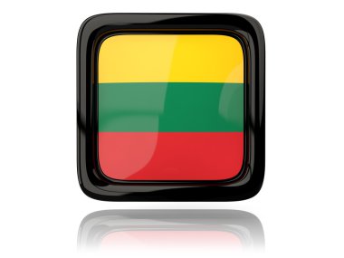 Litvanya bayrağı ile kare simgesi