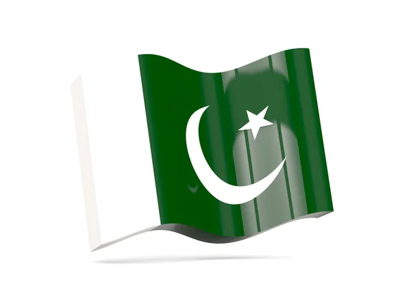 Ícone de onda com bandeira do paquistão — Fotografia de Stock