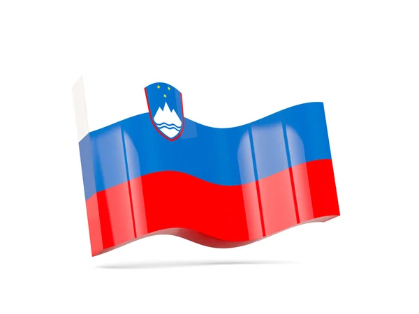 Ícone de onda com bandeira de slovenia — Fotografia de Stock