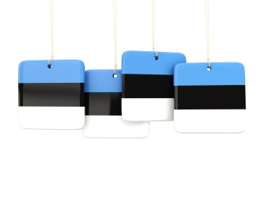 Estonya bayrağı ile kare etiketleri